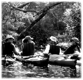 Janus Project on the Iron River, August