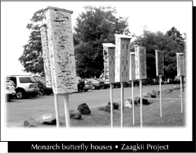 Monarch butterfly houses - Zaagkii Project