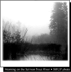 Morning on the Salmon River - SWUP photo