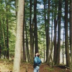 Jon Magnuson observes forest