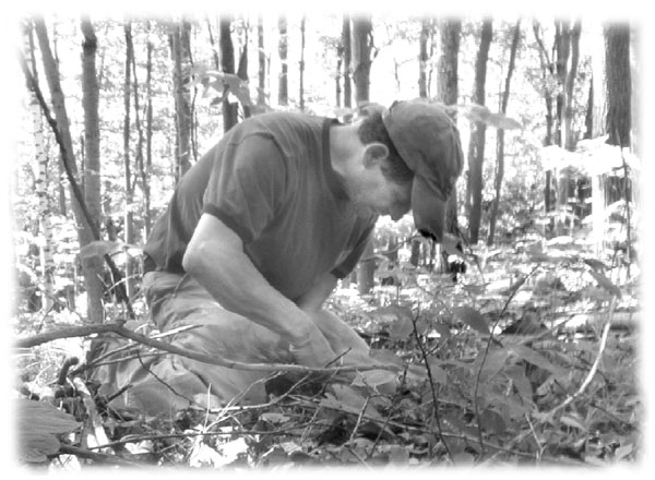 Jeff Noble, Planting Cedar