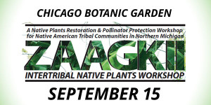 Zaagkii Workshop at Chicago Botanic Garden
