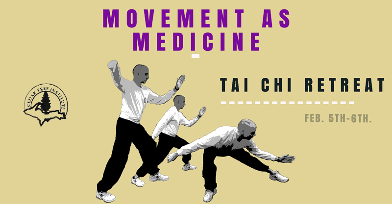 Movement as Medicine