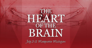 The Heart of the Brain