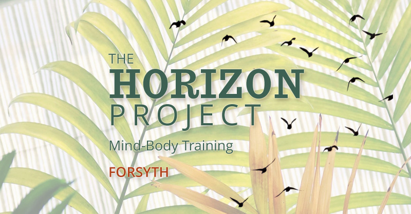 The Horizon Project Forsyth