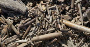 Wood Chips 11