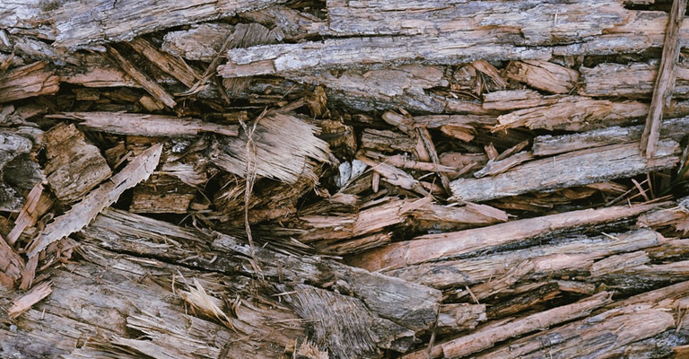 Wood Chips 15