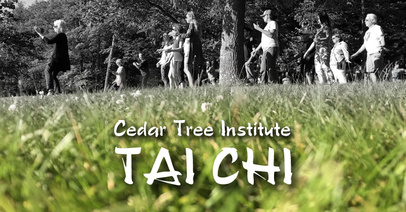 Tai Chi by the Cedar Tree Institute