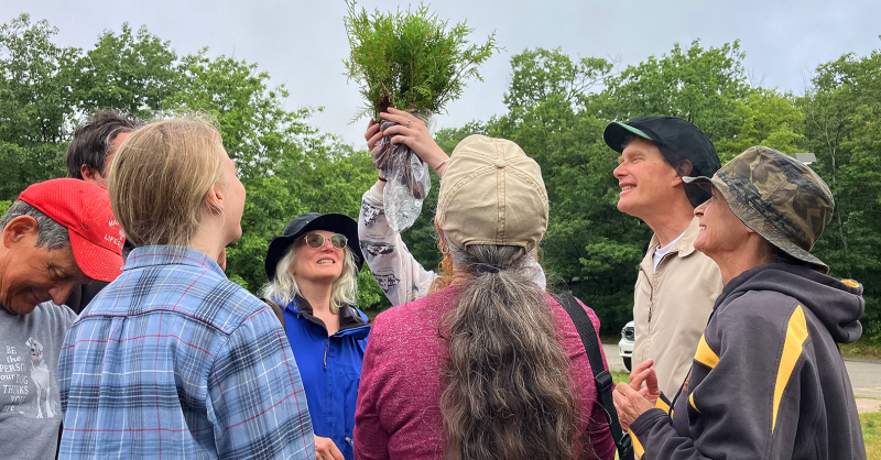 Blessing the Trees