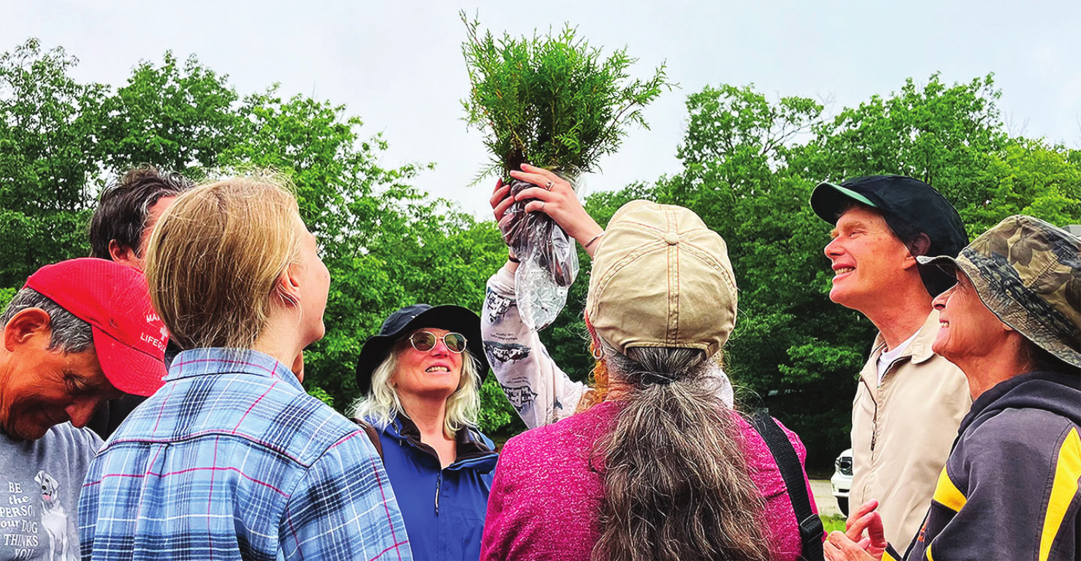 A blessing of the trees