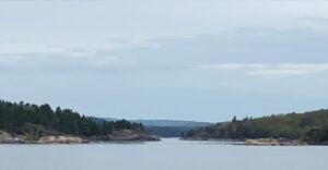 Spring 2024 Equinox Newsletter